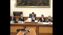 Roma - Audizioni su mobilità Stretto Messina - Sindaco di Gioia Tauro (04.03.14)