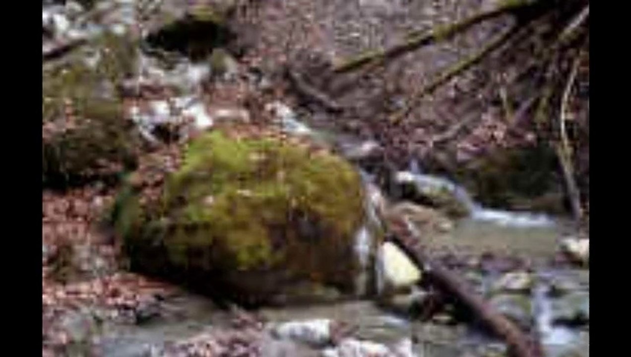 LỆ ĐÁ - Guitar Solo, Arr. Thanh Nhã