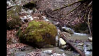 LỆ ĐÁ - Guitar Solo, Arr. Thanh Nhã