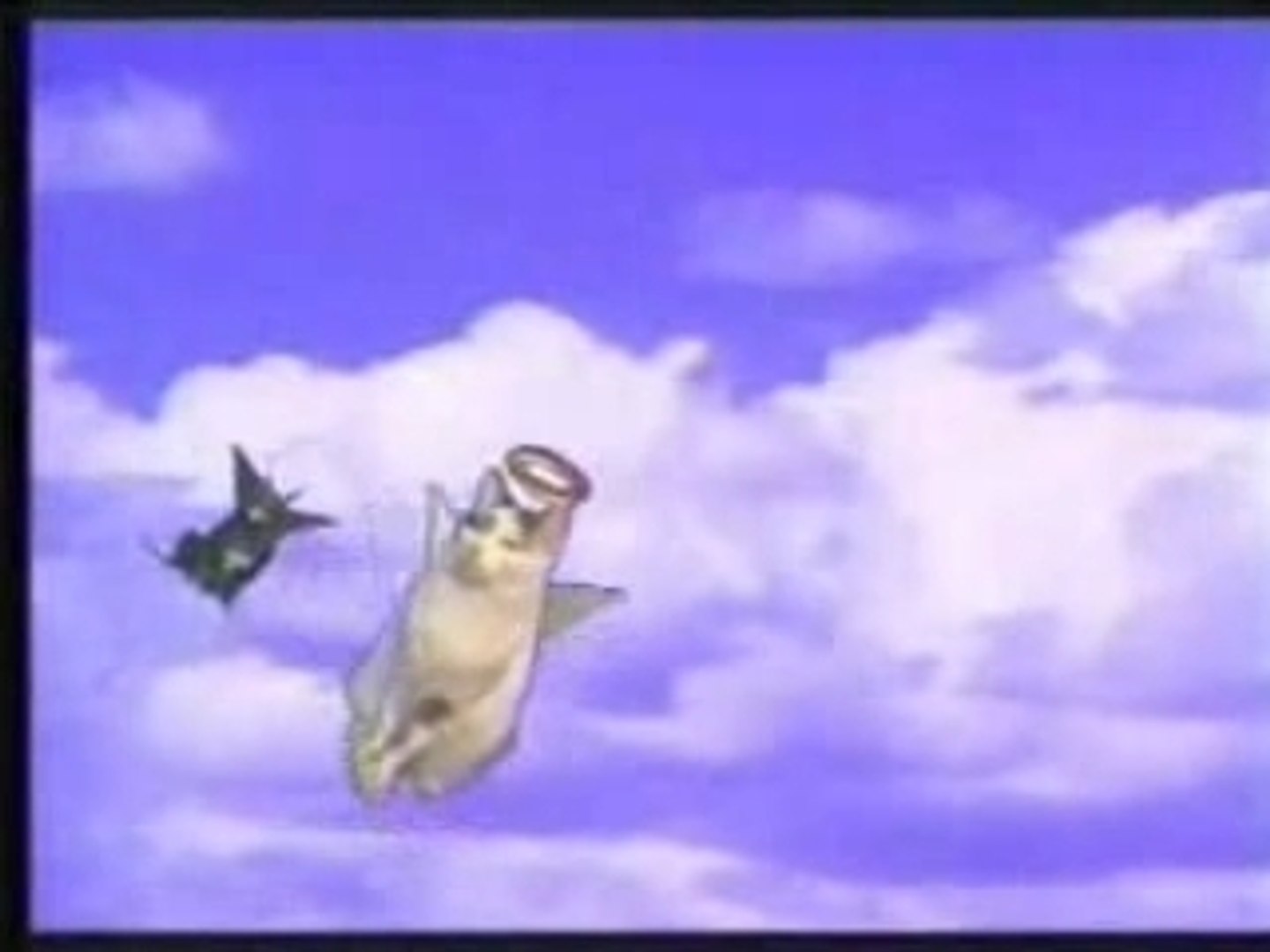 Chat Qui Chante Noel Video Dailymotion