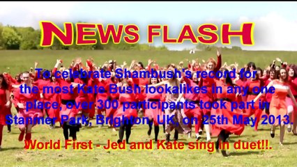 Wuthering Heights (Heathcliffe)