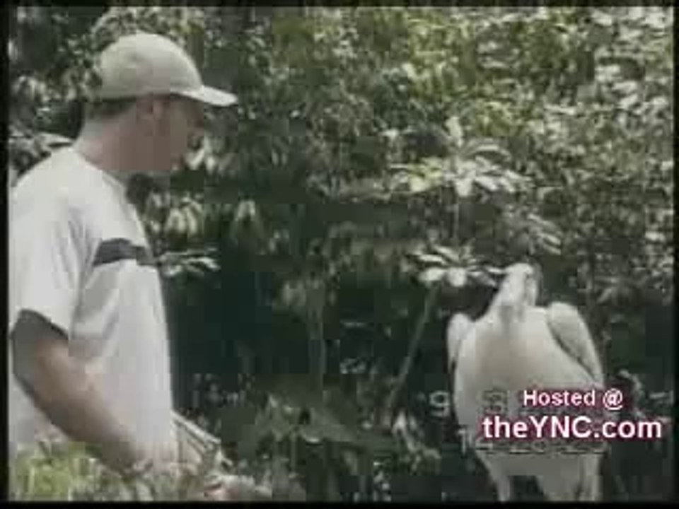 Funny video on Dailymotion
