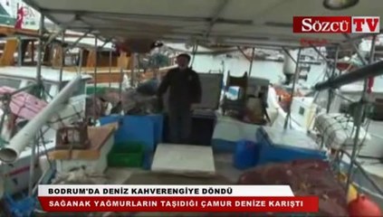 Bodrum'da deniz kahverengiye döndü