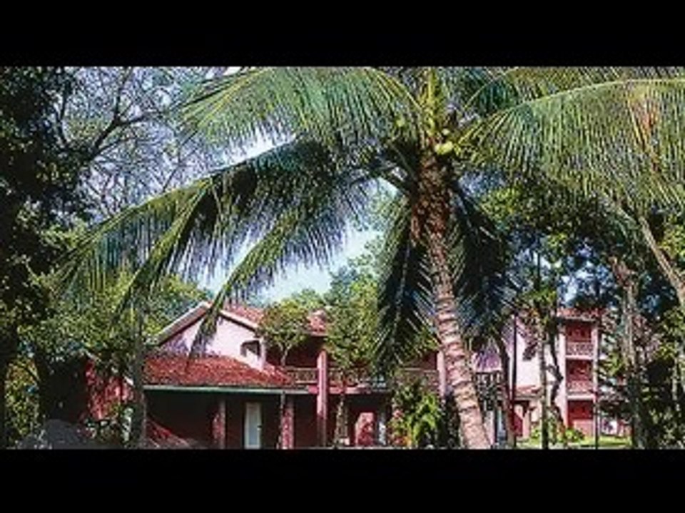 Riu Lupita neu