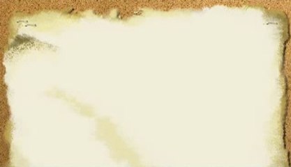 Binary Option Bot Reviews