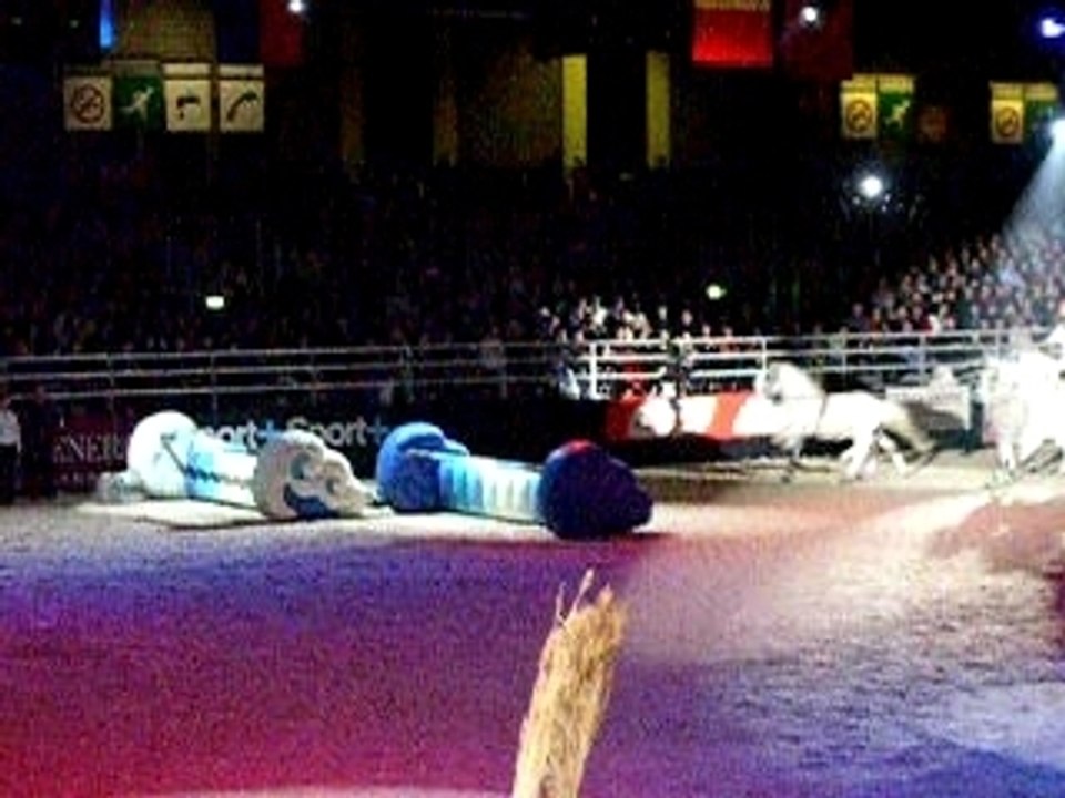 Lorenzo saut avec ses 4 chevaux (2)