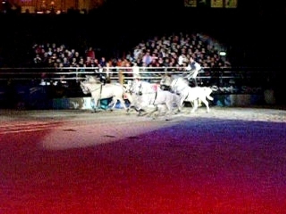 Lorenzo saut avec ses 6 chevaux Oo