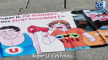 Des poules géantes manifestent à Lille