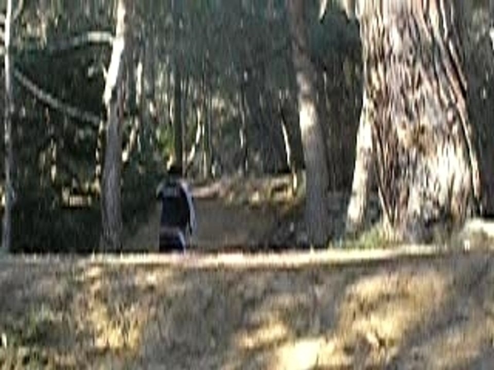 Road gap Adrien
