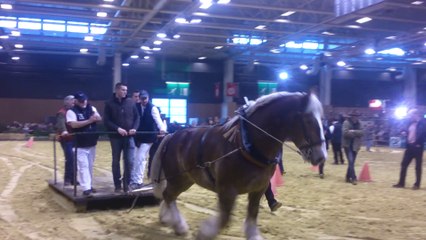 Fin de la traction des bretons