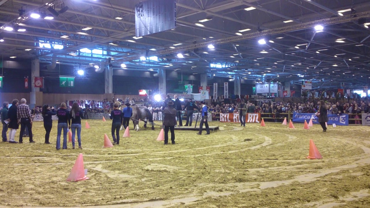 traction trophée trait sportif bretons SIA 2014