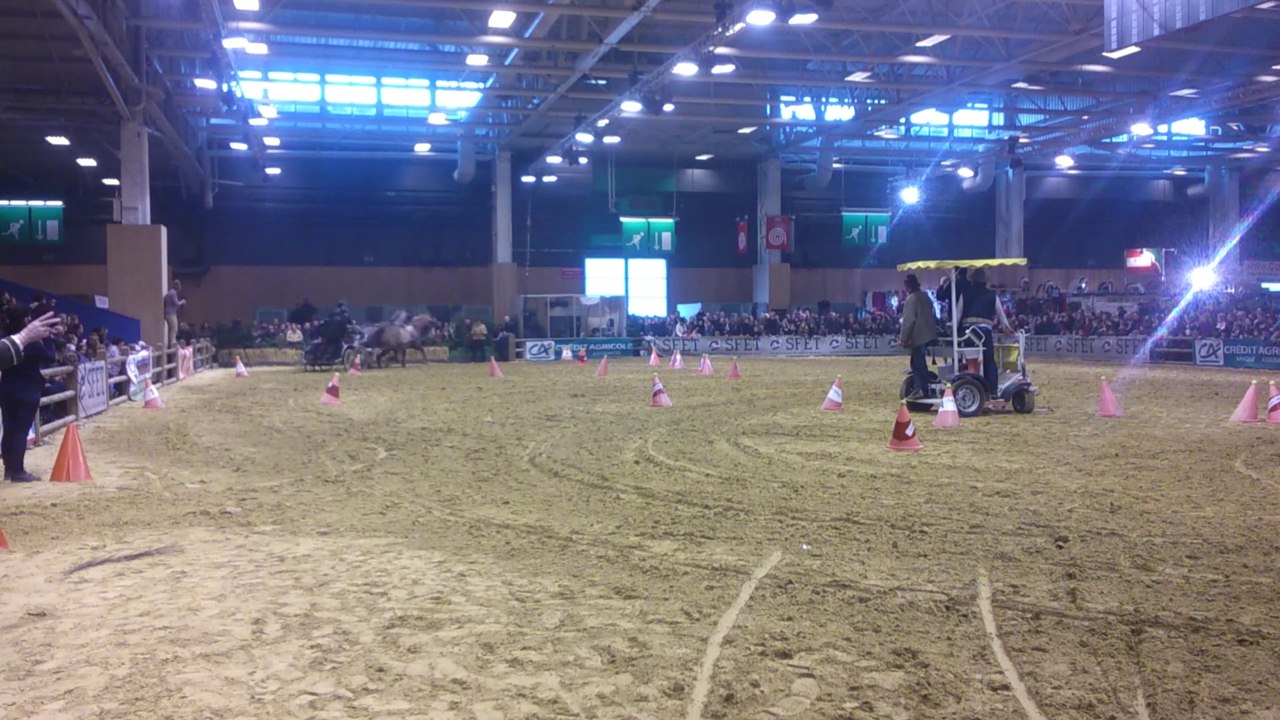 Marathon bretons trophée trait sportif SIA 2014