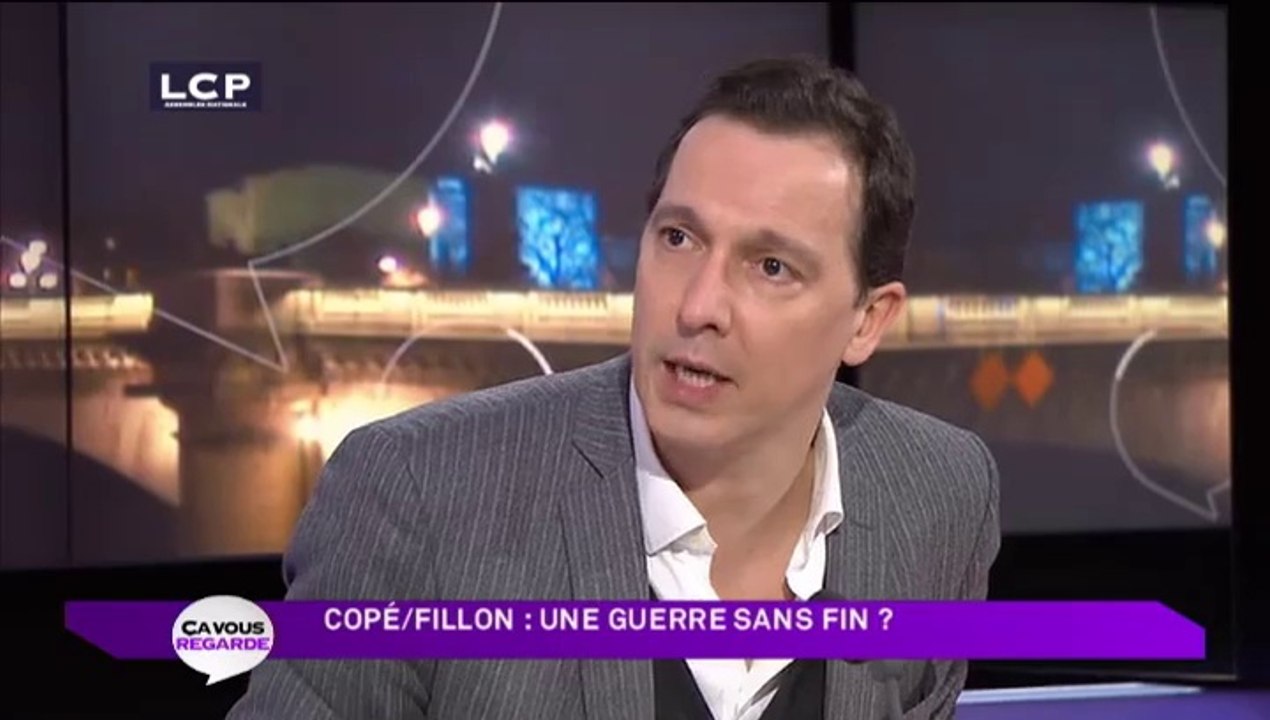 Guy Alves - "Affaire Copé" - Ca vous regarde - LCP