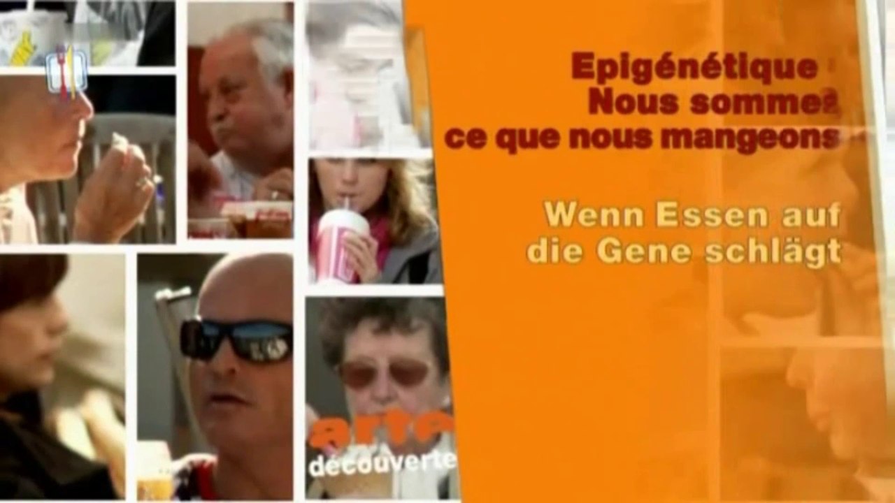Wenn Essen auf die Gene schlägt - 2008 - by ARTBLOOD