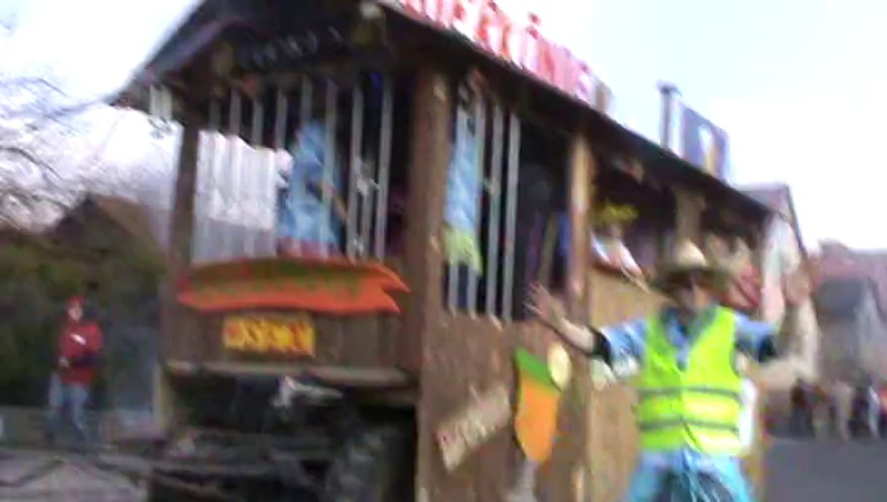 Faschingszug Diebach 2014 Video Hubert und Matthias Dschungelcamp (7)