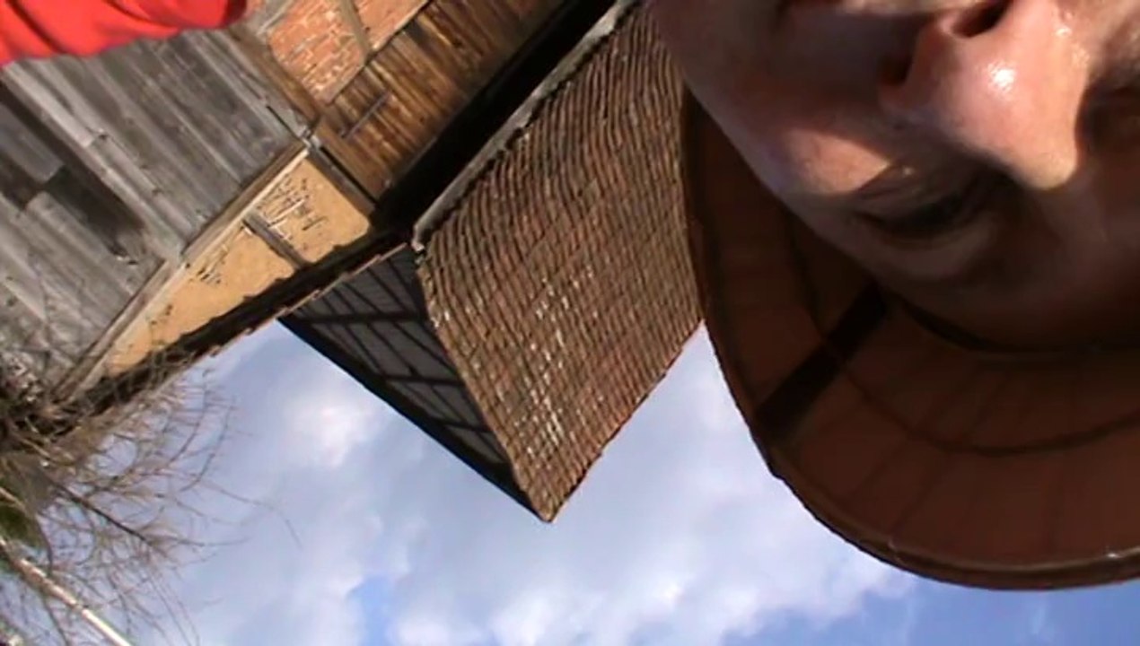 Faschingszug Diebach 2014 Video Hubert und Matthias Dschungelcamp (15)