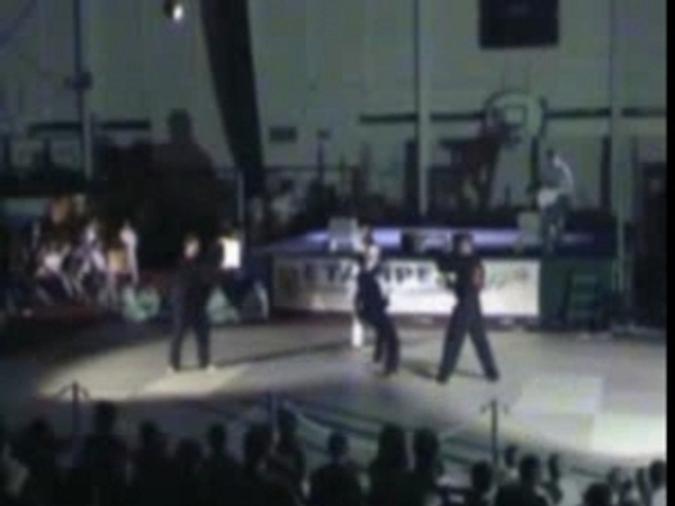 D3V-Team Taekwondo demonstration