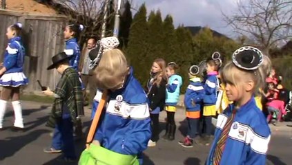 Faschingszug Diebach 2014 Video Hubert und Matthias Dschungelcamp (22)