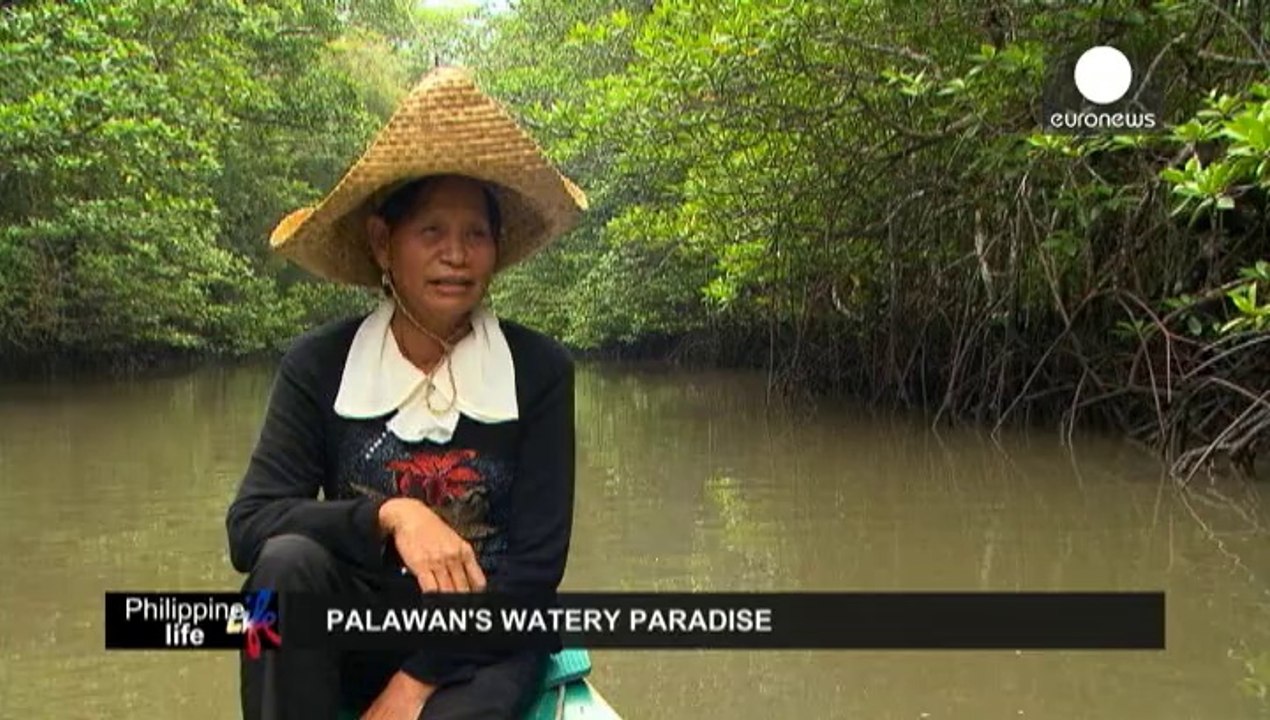 Palawan, véritable paradis vert