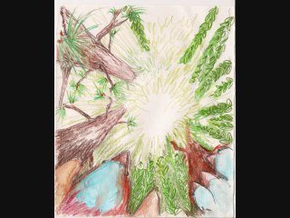 Chant pinson des bois