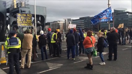 下载视频: Irish Protester Gives Colourful Advice on How to Deal With EU Laws