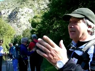 Est-ce que les oiseaux se cachent pour mourir?