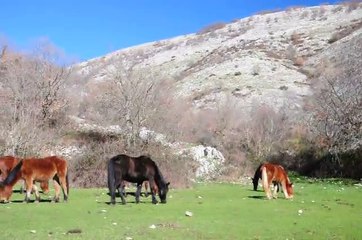 DOM.23-2-14 TREKK SUL MONTE DELLE PIANEZZE E CARNEVALE SUBIACO.