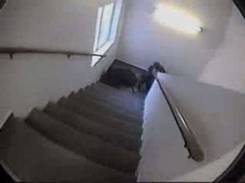 Régis Chute Dans Les Escaliers