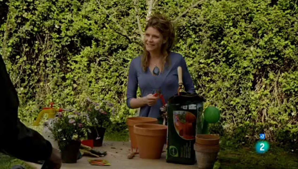 Don Matteo 8x03 Prueba de amor