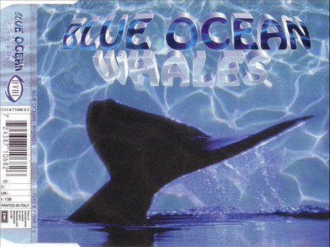 BLUE OCEAN - Whales (extended mix)