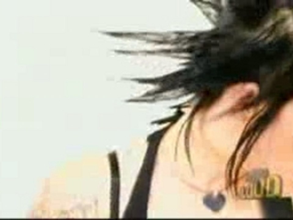 The Distillers-The Young Crazed Peeling