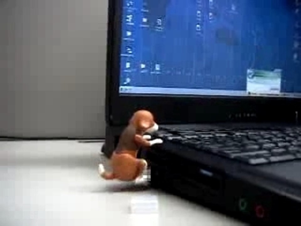Humping dog