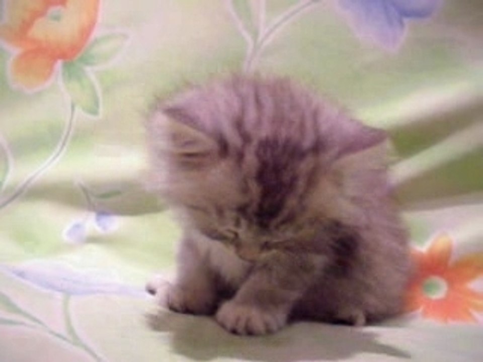 fatigue