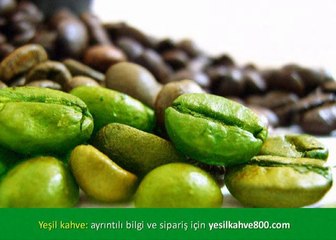 Yeşil Kahve Çekirdeği Zayıflama