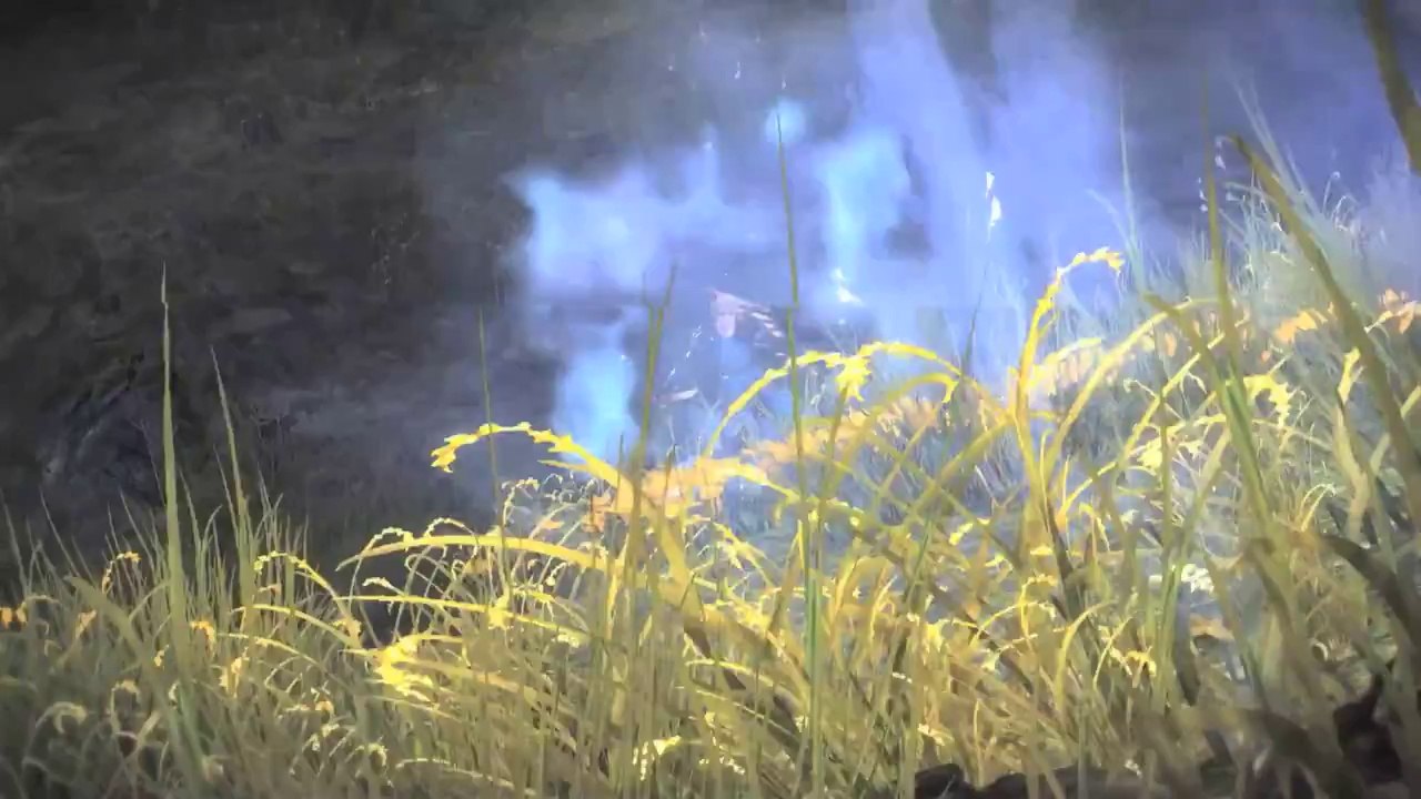 Guild Wars 2 Guardian Skills Trailer