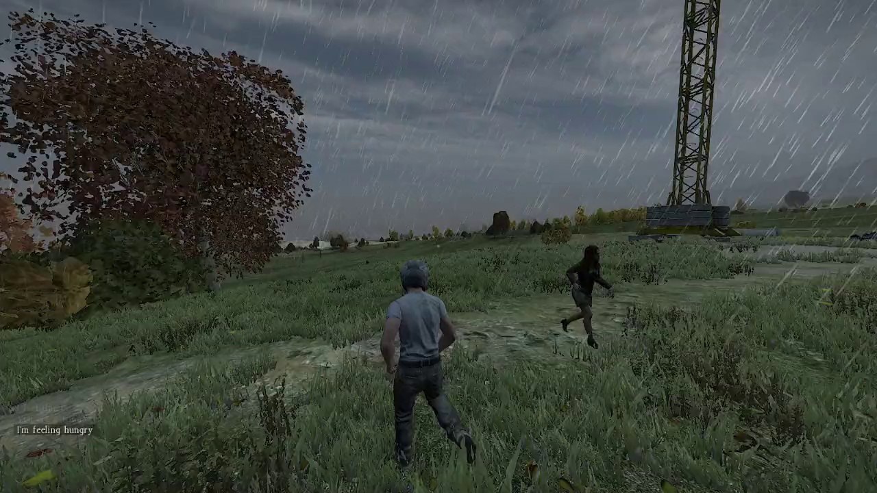 Dayz Standalone Experimental Bug Report