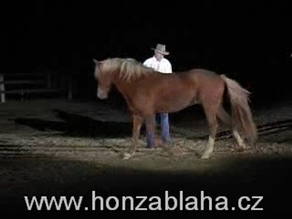 HonzaGastonBorova2004