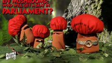 EFF Mushrooms: Fighting for Parliamentary Seats