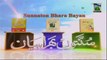 Ghaus e Azam Bator e Mufti - Islamic Bayan in Urdu - Haji Shahid Attari