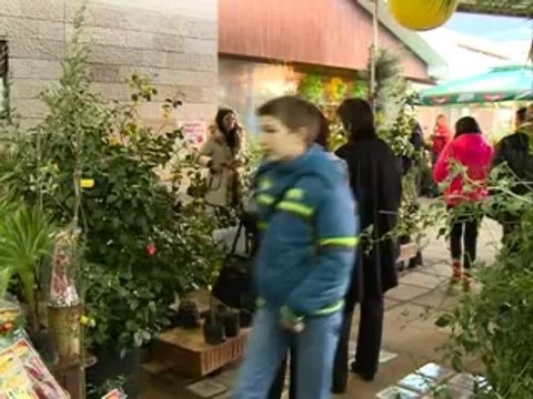 Zapis [Praznik mimoze Portonovi] 8/2/2014 rtcg.me