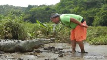Video Footage Shows Man Feeding Croc From His Mouth