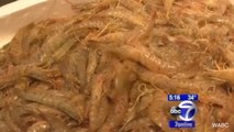Fish Markets Being Blamed for NYC Chinatown Skin Infection