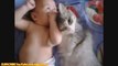 FUNNY VIDEOS_ Funny Cats - Funny Baby - Funny Cat Videos - Funny Animals - Funny Babies Videos(wmv)(wmv)(wmv)(wmv)(wmv)(wmv)