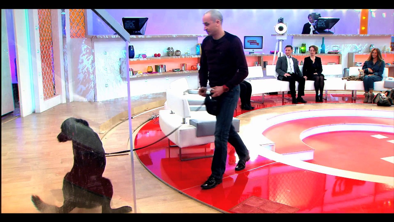 Toute une Histoire 07/03