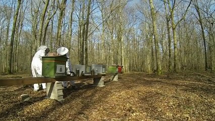 Première visite de printemps