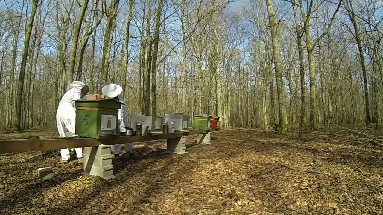 Première visite de printemps