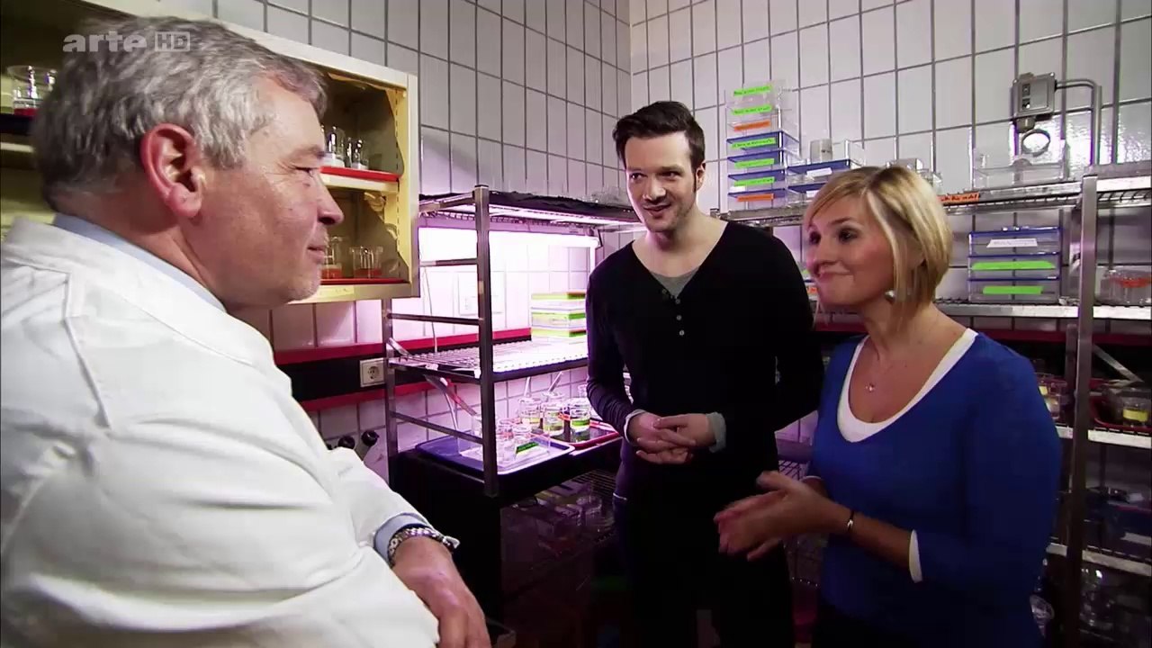 Pourquoi viellissont nous