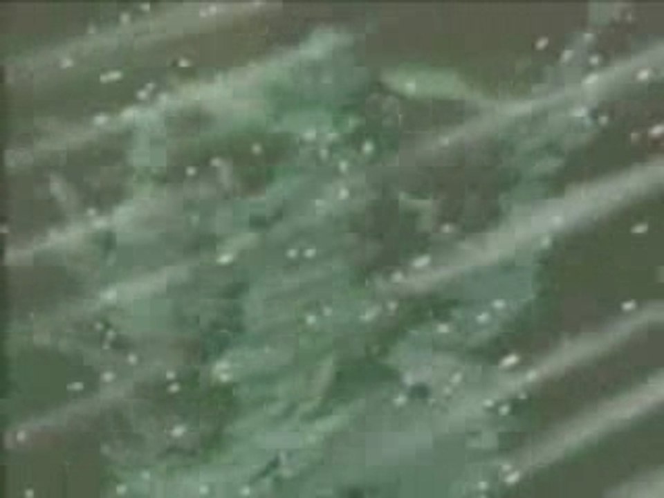 [AMV] Saint Seiya - Lacuna Coil - Entwin