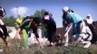 Shama Ashna Woman New Song Afghan 2014 HD - PashtoRung.Com