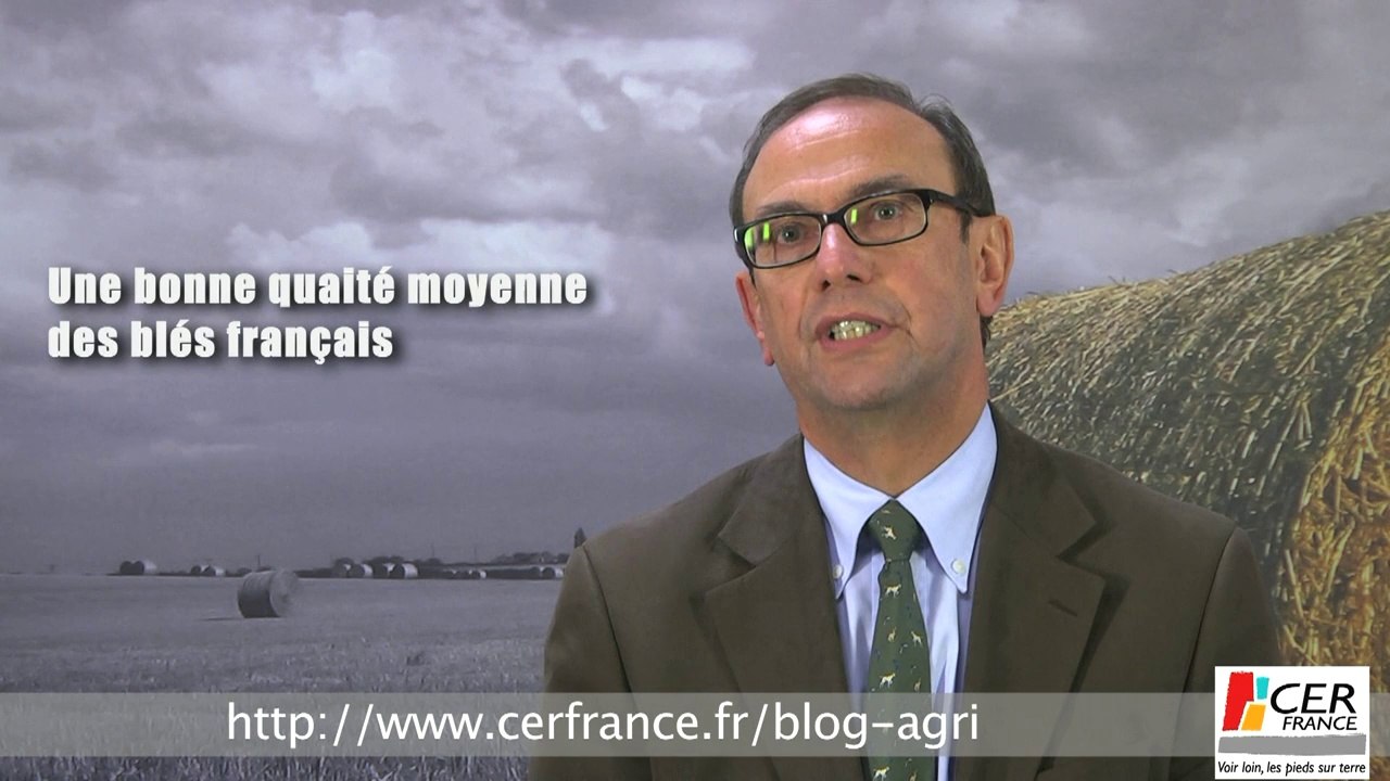 Blé : La Chine pourrait devenir le 1er importateur mondiale devant l'Algérie par Thierry Lemaître